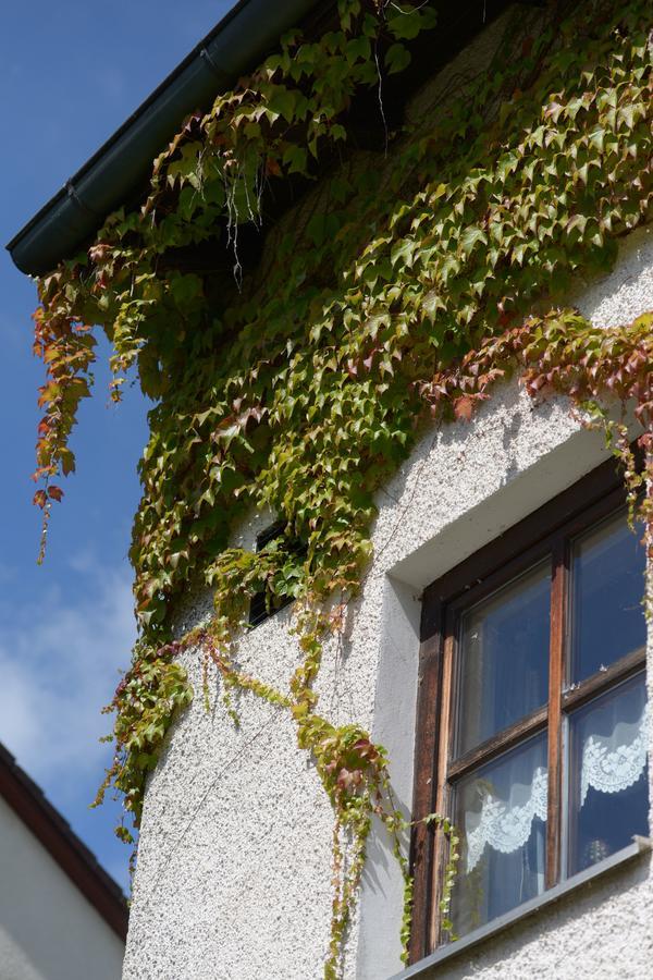 Hotel Am Regenbogen Cham Luaran gambar